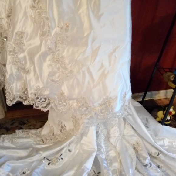 Wedding Dress - Picture 7 of 11